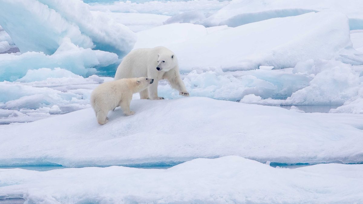 Small reactor, big mission: Feds fund CSMC’s Arctic nuclear plan